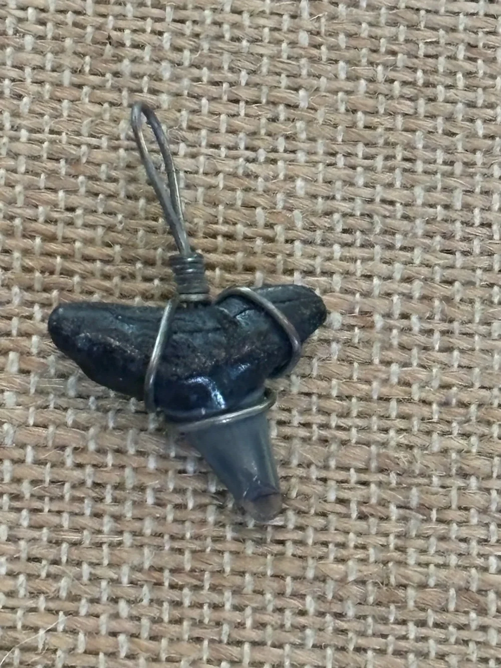 Shark Tooth Wire Wrapped Pendant